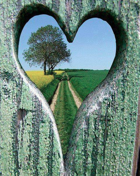 kumapayisandy's tweet photo. "@PamelaSavesU: #wearethepeople   We have to look at everything as Beautiful Future and we must FIGHT for RV ! http://t.co/fmZ2OW4a8O"