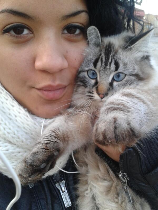 claricerodie's tweet photo. Vivo enamorada de esta gattita , aaaaaww ¿no es un amooor? http://t.co/lgQfyKLqPy