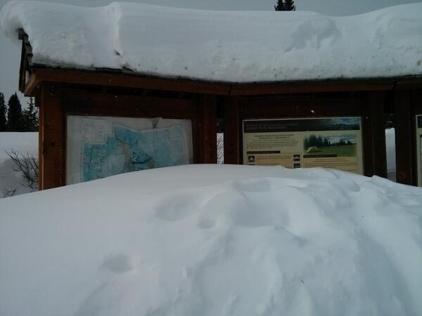 DaveMichels's tweet image. Went for a snowshoe hike near Breckenridge CO today. #LyncConf tomorrow.