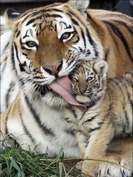 _Paisajes_'s tweet photo. Preciosa imagen. http://t.co/l6RsV22Coi