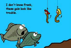 Fiddlefish's tweet photo. http://t.co/G5TNAFb3ZI