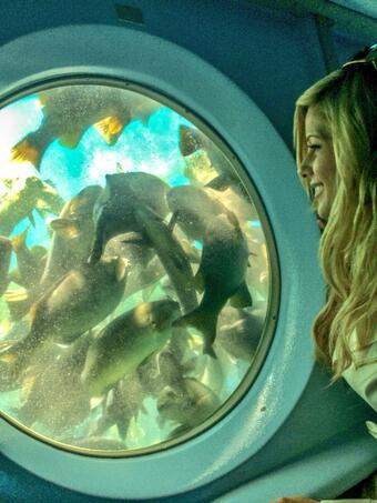 Surprise submarine adventure just off the shores of Catalina ???

#Priceless #Blessed #Loved 
#Catalina