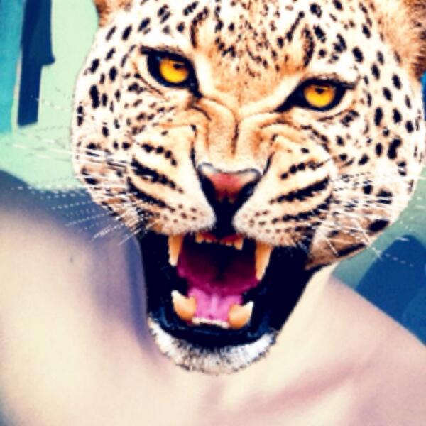 DanaValencia's tweet photo. Ok http://t.co/XgsLY0jqKv