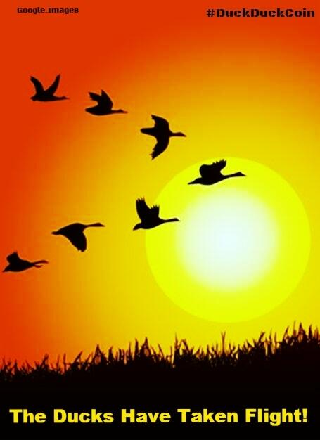 duckcoinbuzz's tweet photo. #cryptoCurrency #DuckDuckCoin is taking off with the Ducks @ a Flying V #Altcoin community http://t.co/4V61MmAXxf