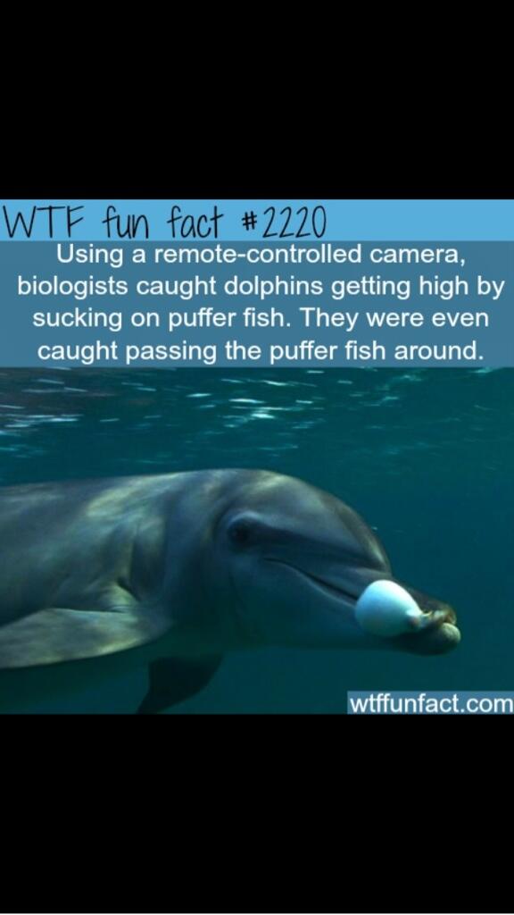 Joe Kimack tweet media