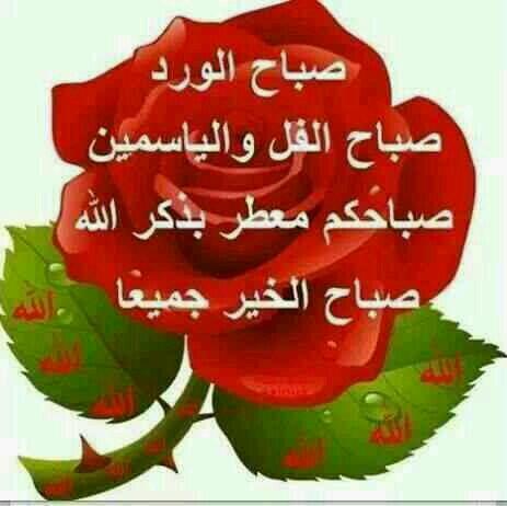 shambo22's tweet photo. http://t.co/7tGURuZ97E