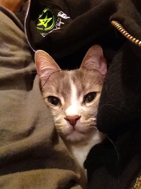 Jaks_AP's tweet photo. There's a string on her head http://t.co/uhgLmWoStw