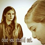 Photo by Love Willow Shields (@ShieldsLove)