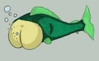 Breezlesaurus's tweet image. My life is complete. #Buttfish