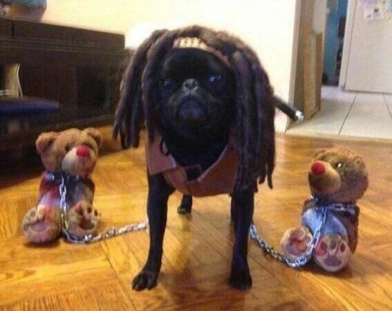 love2laugh's tweet photo. Michonne and her leashed walkers. #TheWalkingDead via @ItsFunnyLife http://t.co/8wNwtHcotY