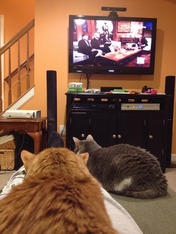 Jaks_AP's tweet photo. Now watching @AMCTalkingDead with both of my kitties! http://t.co/8wzg1oi7XA