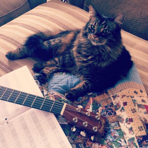 lorimoongoddess's tweet image. @MartinGuitar @edsheeran practice makes perfect! #martinpride #littlemartin #practicepartner