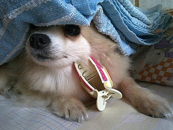 SilviaaCH's tweet photo. Seandainya bisa kumelihatnya lagi, sekali lagi saja Ya Tuhan.. http://t.co/0xsURsxUuG