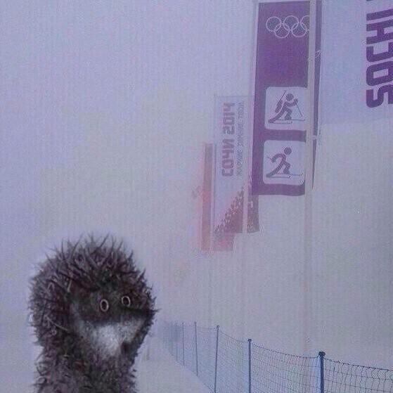 Картинка дня