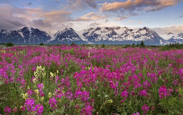 Best Backgrounds (@backgroundbest) on Twitter photo 