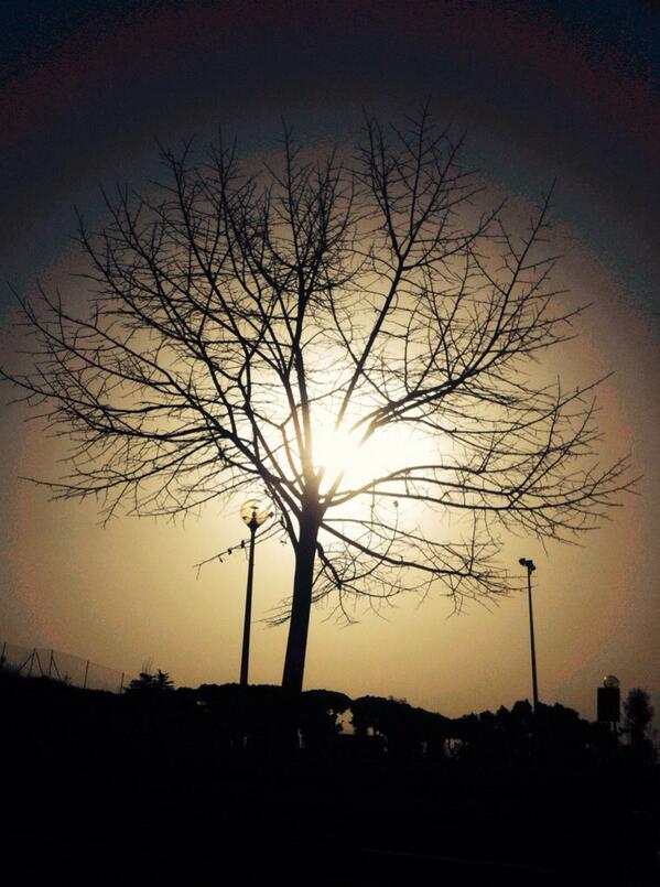 Gabriele Rossi (@gabrieleroxxi) on Twitter photo 