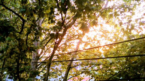 Ignacio Villarreal tweet media