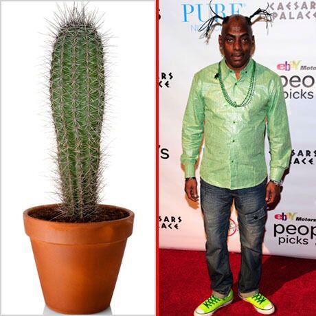 GloZell's tweet photo. Who wore it best ... oh no  ... I have that outfit xooxxo - GloZell http://t.co/N9gD5Bos5o