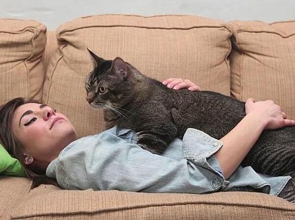 soychilecl's tweet photo. #CATASAURUSREX: el gato que desafΓa a la madre naturaleza http://t.co/uaeknJrydW http://t.co/a9GmbZqbSb