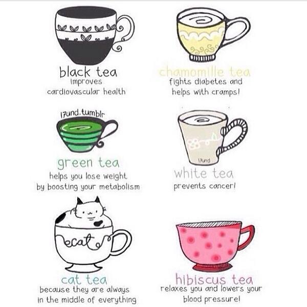 AgapesolSwim's tweet image. Benefits of tea 😻 #tea #benefitsoftea #catlover #blacktea #greentea #whitetea #morninggl... ift.tt/1nGW7ZQ