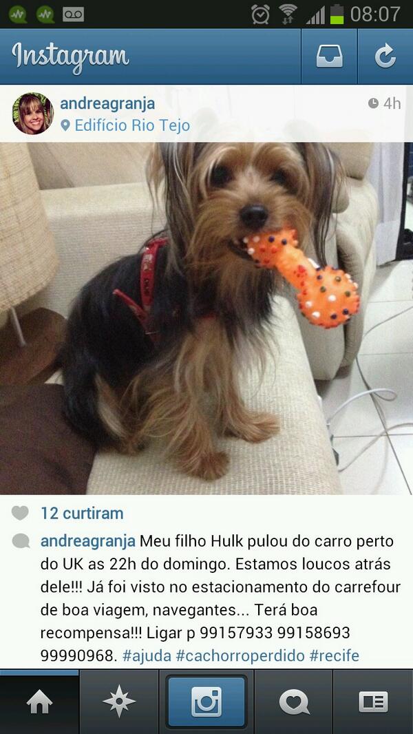 ClimaBeer's tweet photo. Ajudem, desaparecido ontem (domingo) 22h próximo ao UK http://t.co/bszImdEGbG