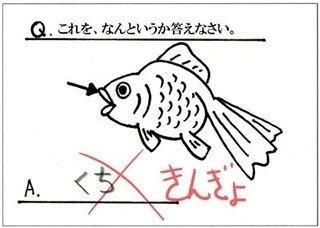 ちょっと先生 子供心に そりゃないぜ と思ってしまう理不尽なテスト採点8選 Fundo