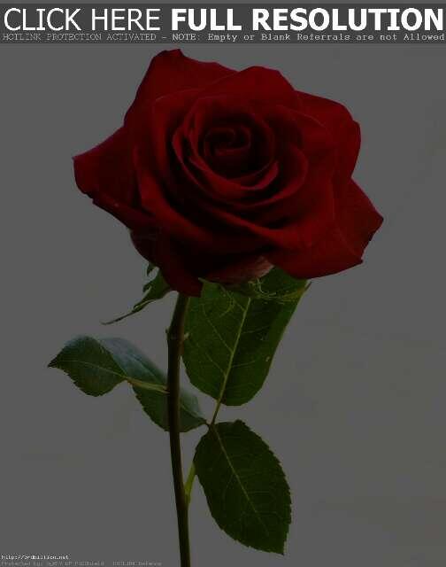 geolivepak's tweet photo. Uploaded via @Twitefon http://t.co/KSqBUkCCtc