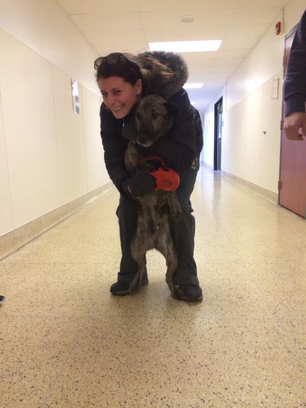 Mainland Crew  tweet media