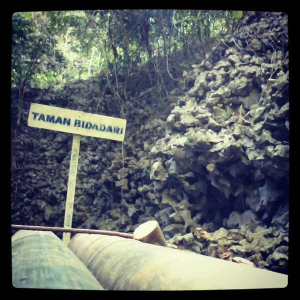 dg_magassing's tweet photo. Taman bidadari. Rammang2. | @Jalan2Seru_Mks http://t.co/qtmRXaLpz5