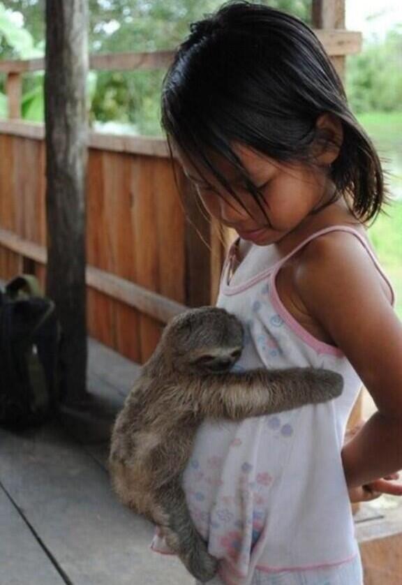 JCATSForLife's tweet image. I NEED ONE OMFG