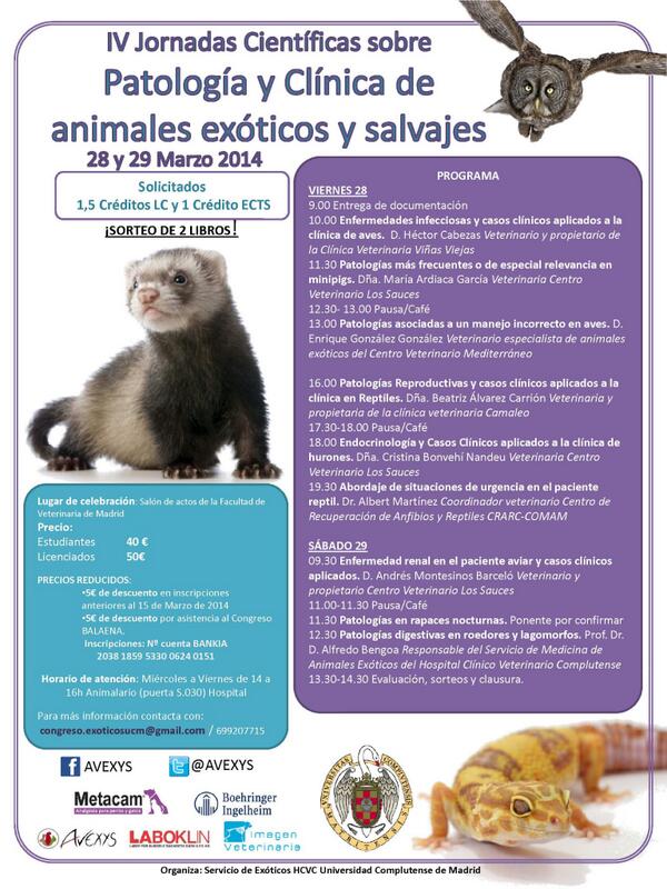 ¡Aquí os dejamos el cartel! Esperemos que os guste!