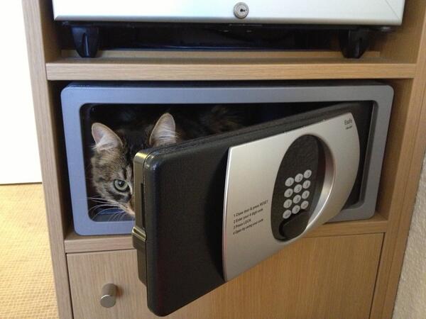 tracysscp's tweet photo. Confused.... when you were watching me.... :) http://t.co/jyGM1A5cVl