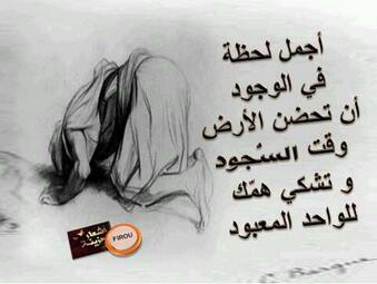 ������ ���� ������ �� ���� ������