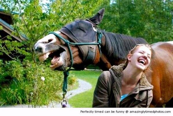 NRHandbags's tweet photo. Best Laugh! http://t.co/PvJnasUMcc