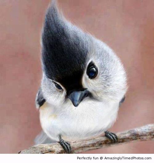 NRHandbags's tweet photo. Luv the hair-do http://t.co/kkdjI7PQ6s