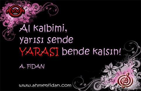 TELAFORİZMALAR NO: 028