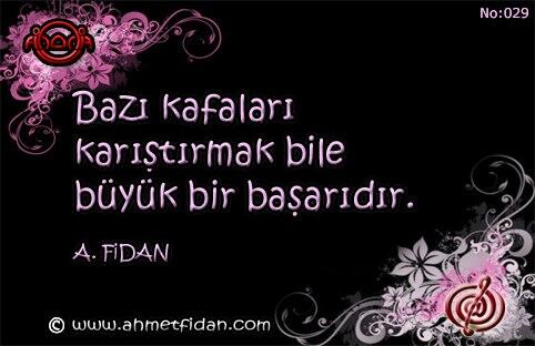 TELAFORİZMALAR NO: 029