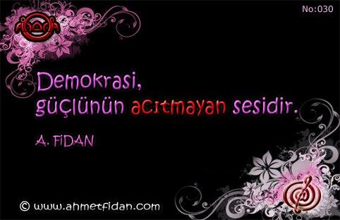 TELAFORİZMALAR NO: 030