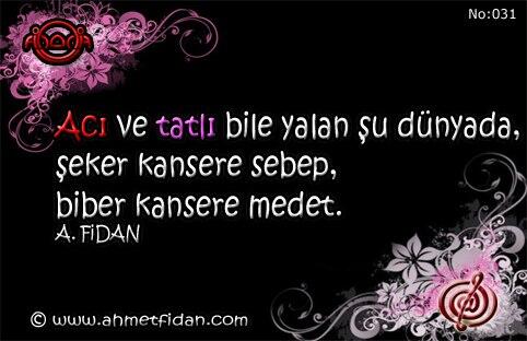 TELAFORİZMALAR NO: 031