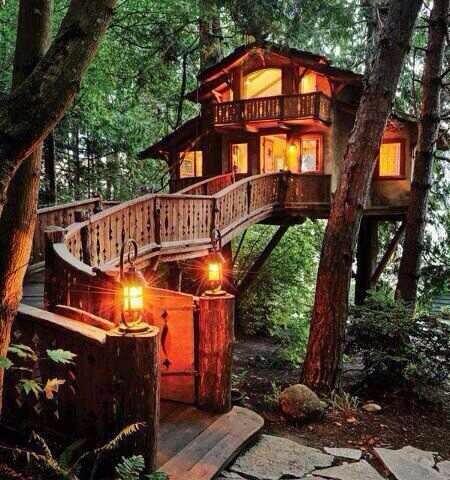 Dream1Homes's tweet photo. Tree House http://t.co/Zu2lzp2pLP