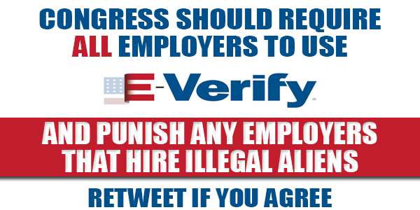 NumbersUSA's tweet photo. RETWEET if you agree employers should be required to use E-Verify!  

#Immigration #NoAmnesty http://t.co/AMwUMPNY3B