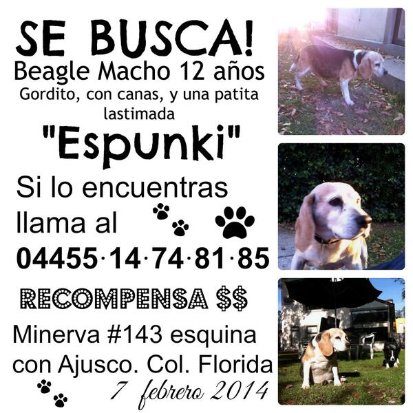 Don_Punch's tweet photo. @prrosPerdidosMX http://t.co/XBKkxRoBtL