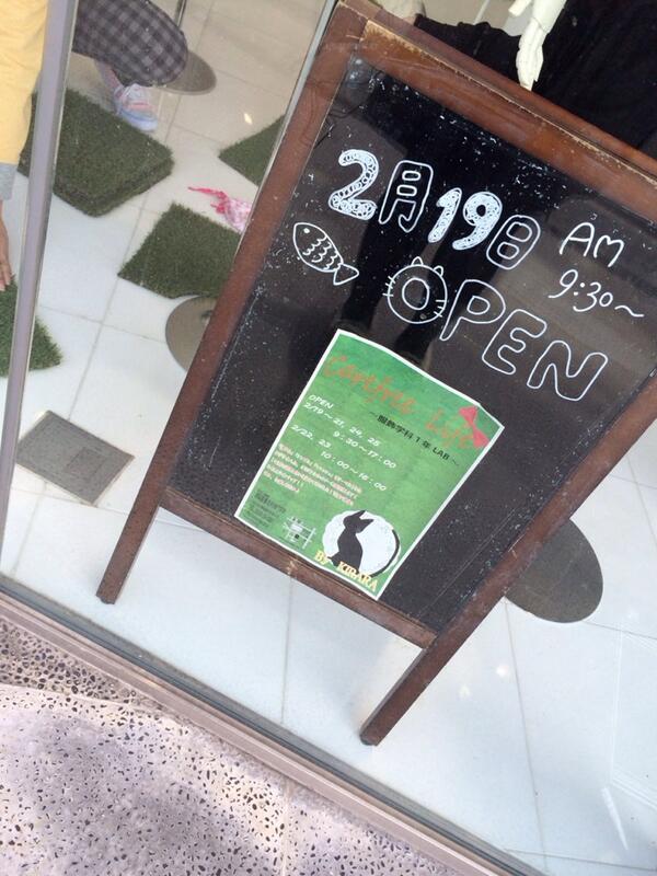 Kirara 静岡服飾美容専門学校 Kirarax6 Twitter