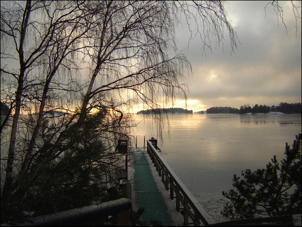 Read Rooster tweet media