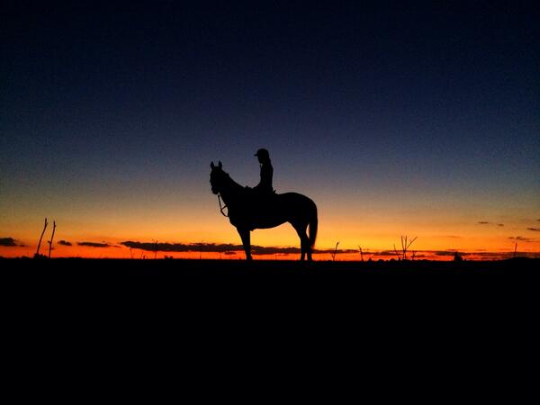 AndrewRHolmes's tweet photo. Sunsilhouette #sunset #canowindra #country #australia http://t.co/MOXo5KuV9j