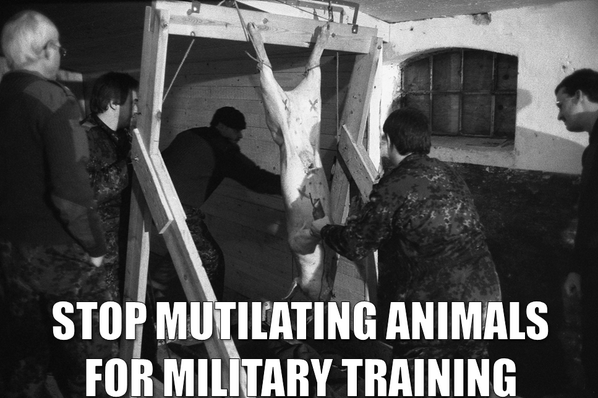 PETAUK's tweet photo. "No animal deserves to be a live target" http://t.co/61uYedqoDs 
You can help: http://t.co/5n6W1FfzCZ