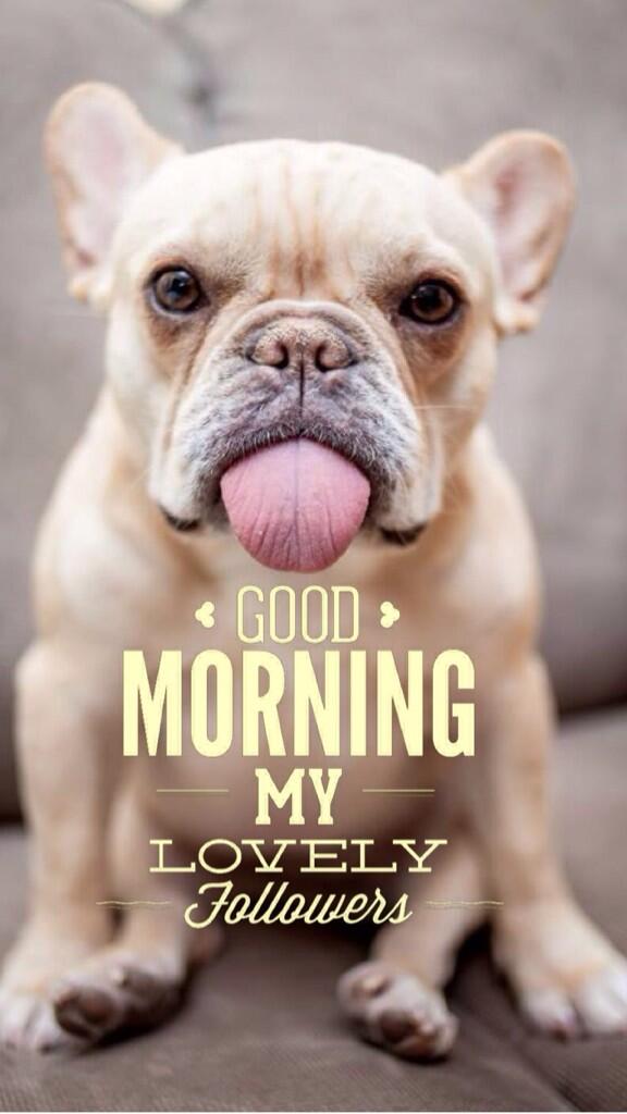 StephPyroDesign's tweet photo. Hello! http://t.co/H2wStHT0k0