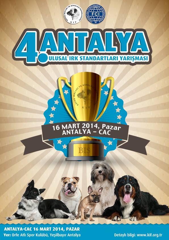 Antalya yarışmasına bekliyoruz.