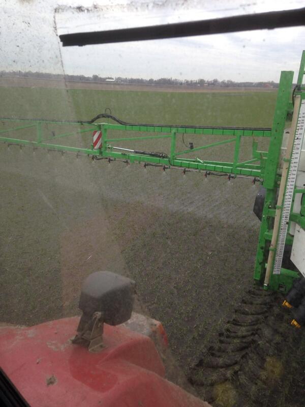 riksteenge's tweet image. De wintertarwe kan groeien