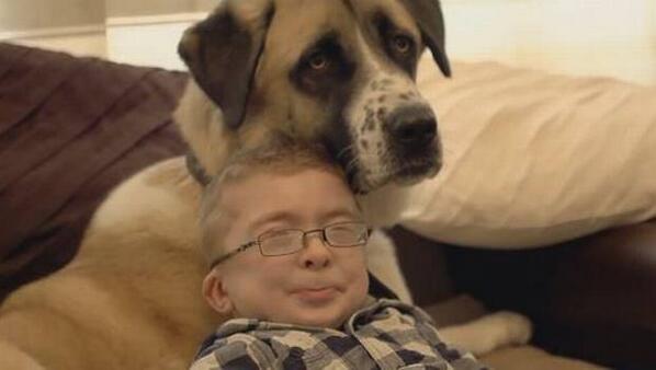 24HorasTVN's tweet image. Única relación de niño que sufre extraña enfermedad, con perro discapacitado. FOTOS y VIDEO ow.ly/tJFyW